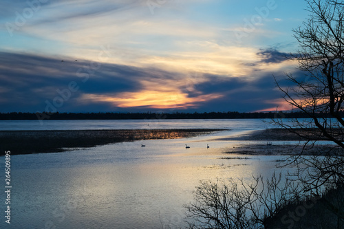 Bemidji, Minnesota, the 2018 Best Town in Minnesota is seen across Lake Bemidji and snow geese swim where the Mississippi River flows toward the camera at sunset on a beautiful evening.