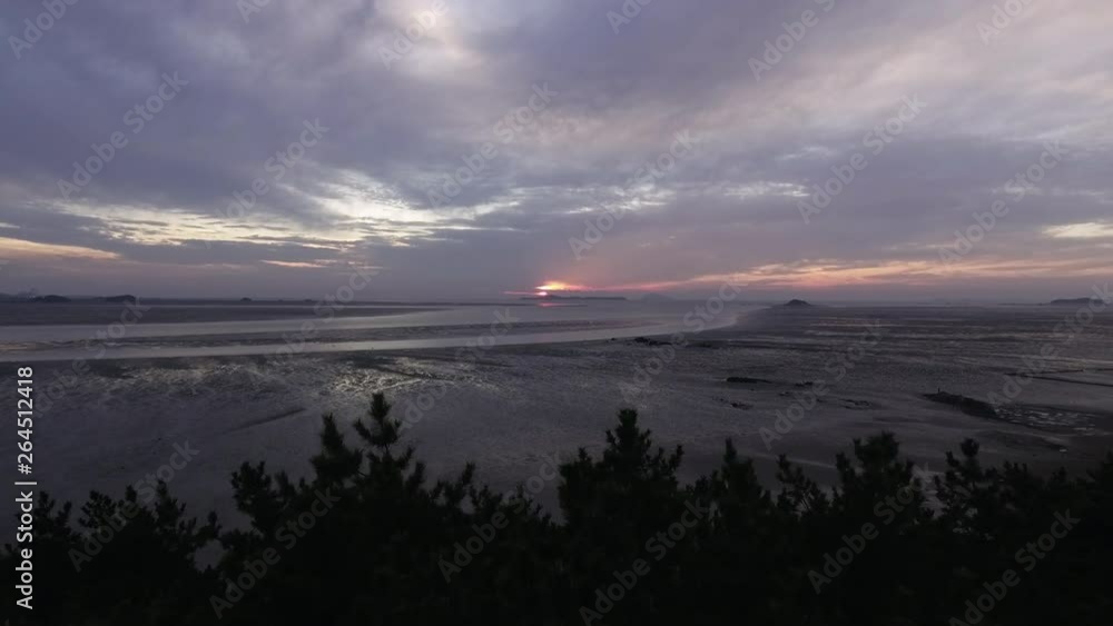 Low tide in the sea View of the sea, drones, sea over the trees Low tide in the sea View of the sea, drones, sea over the trees
