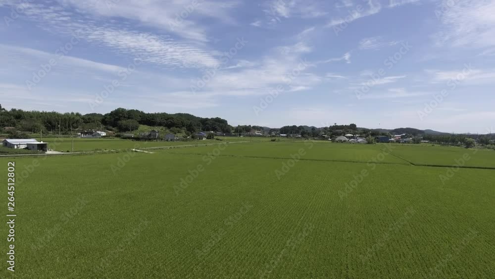 Rural landscape of rice farming area of Korea. Clear blue sky Rural landscape of rice farming area of Korea. Clear blue sky