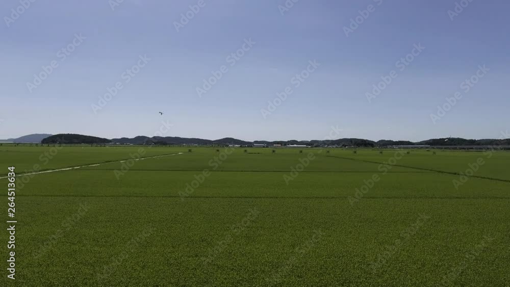 Rural landscape of rice farming area of Korea. midsummer. Rural landscape of rice farming area of Korea. midsummer.