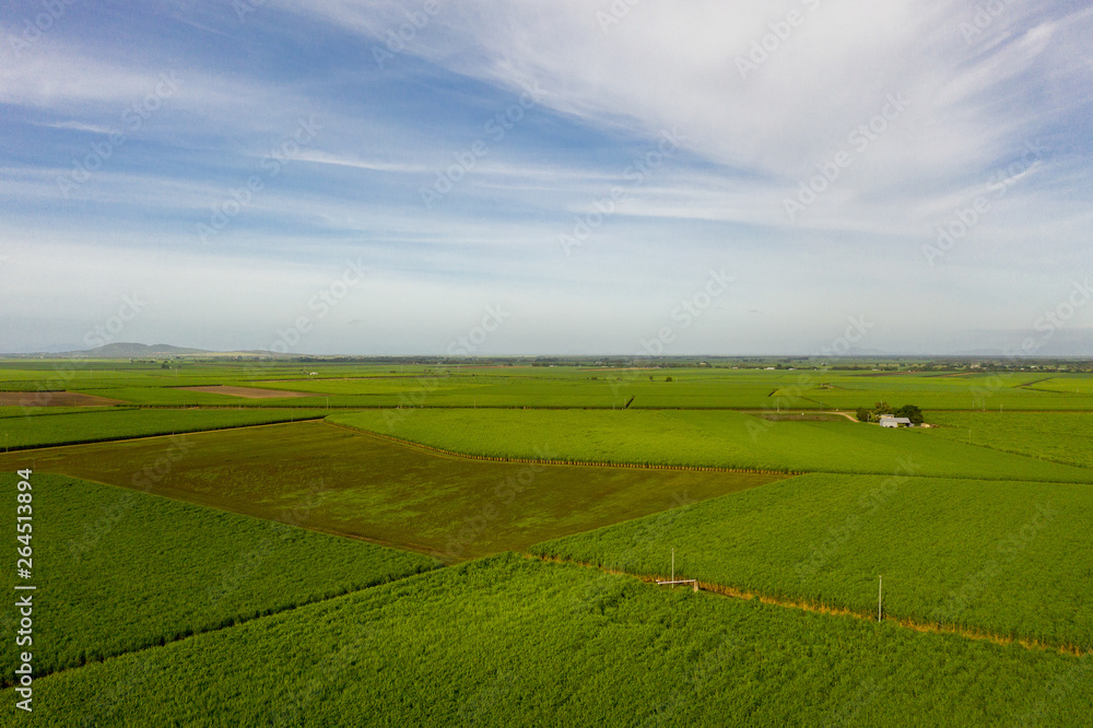 aerial view of sugar cane farm and blue sky
