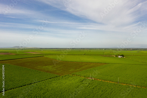aerial view of sugar cane farm and blue sky