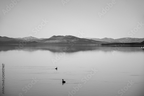 black and white lake landscape with mountains in the distance  © roydahan