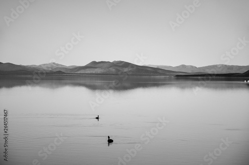 black and white lake landscape with mountains in the distance 