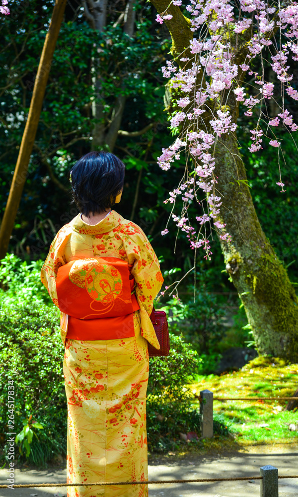 Women walking under cherry blossoms