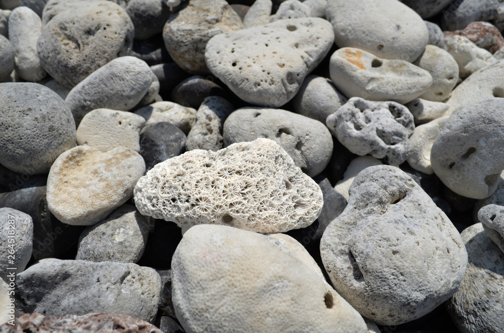 Beautiful dead corals and pebbles on the beach at Koh Hin Ngam,Thailand, the island that have only pebbles and dead corals. Beautiful dead corals and pebbles on the beach at Koh Hin Ngam,Thailand, the island that have only pebbles and dead corals.