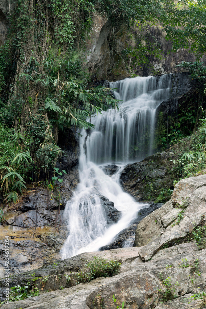 Obraz premium Huay Kaew Waterfall in tropical rain-forest, stones. Summer, travel, jungle concept. Copy space, vertical format