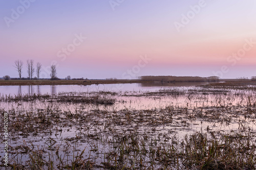 Colorful landscape of the swamp water at dawn