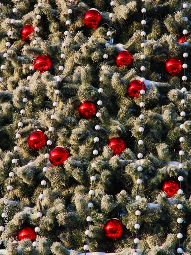 Red balls on Christmas tree