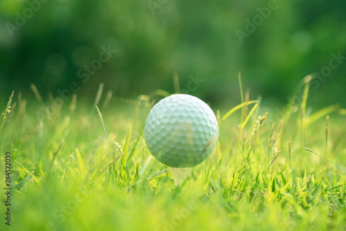 Golf ball and golf club in beautiful golf course at sunset background.