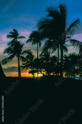 The sun sets behind silhouetted palm trees in a tropical paradise. The cloudy sky is purple, blue, red, and orange.  Relaxing travel and vacation summed up into one photo.  © Andrew