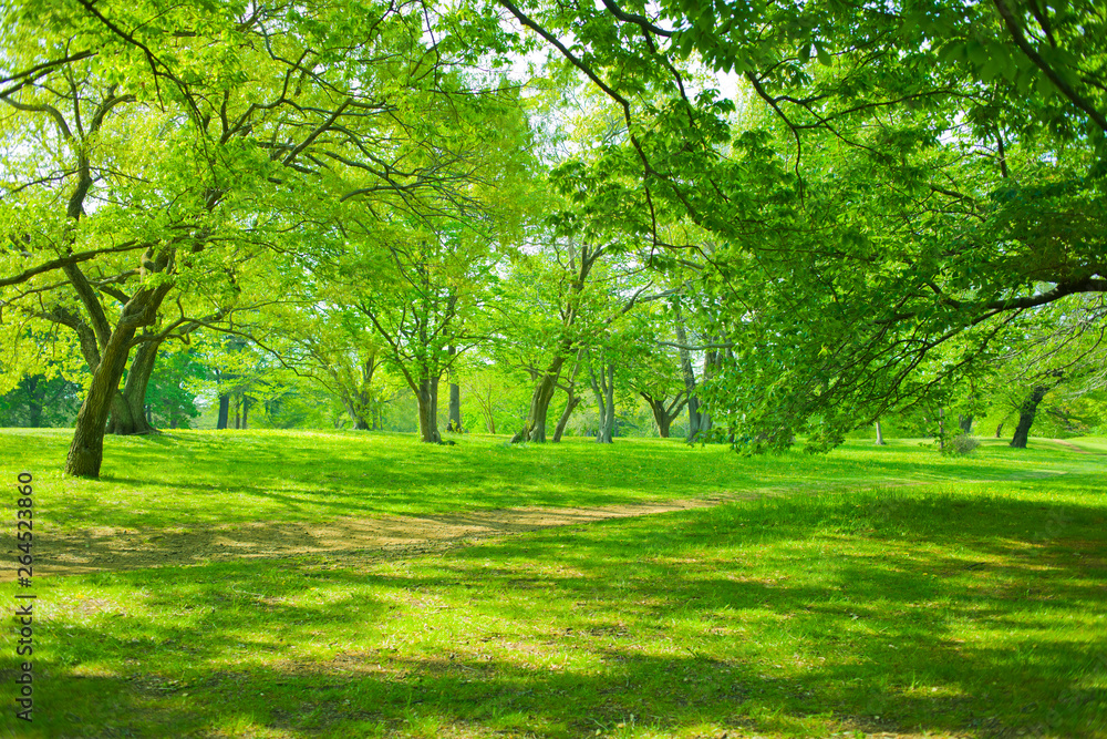 Green park 