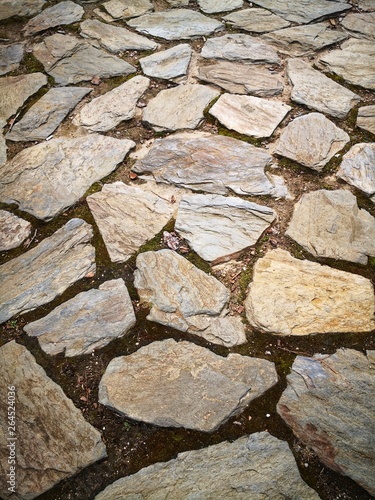 cobbled street in the village
