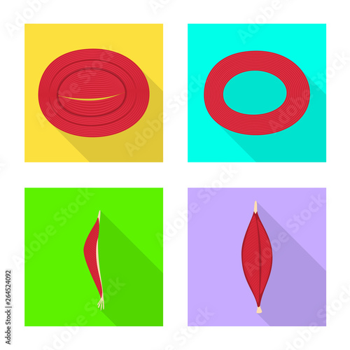 Vector design of muscle and cells logo. Collection of muscle and anatomy vector icon for stock.