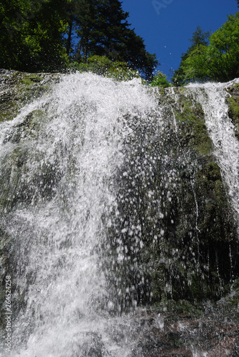 The mountain of Orpheus  Bulgaria  Smolyan