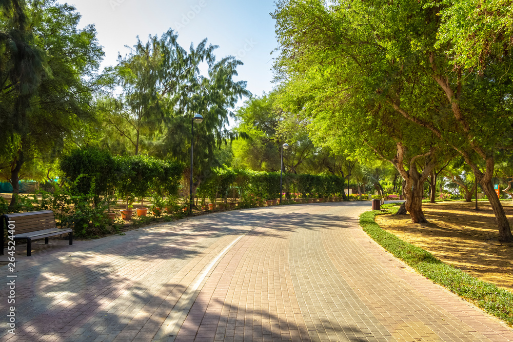 Beautiful park footpath along the city beach.