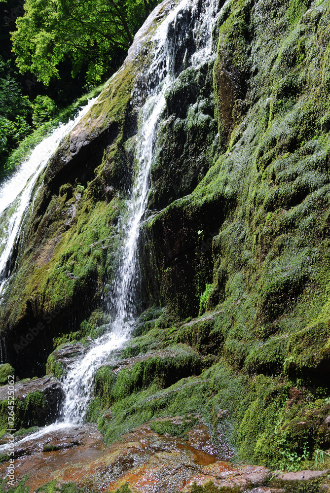 Obraz premium The mountain of Orpheus, Bulgaria, Smolyan
