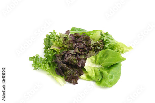 Organic Hydroponics Vegetable for salad  green frillice iceberg lettuce, Cos, Buttter Head, Red Coral leaf  isolated on white background
