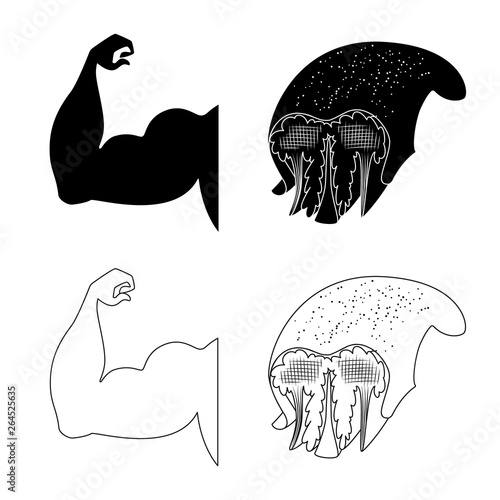 Vector design of fiber and muscular sign. Set of fiber and body  stock symbol for web.