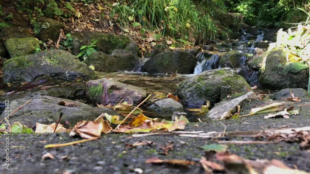Lower shot of water gently cascading over rocks in a small stream in the woods on a summers day in slow motion. Lower shot of water gently cascading over rocks in a small stream in the woods on a summers day in slow motion.