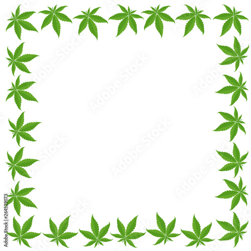 Marijuana green grass frame banner. Cannabis indica hemp plant. Border frame isolated transparent background. Copy space for text place.