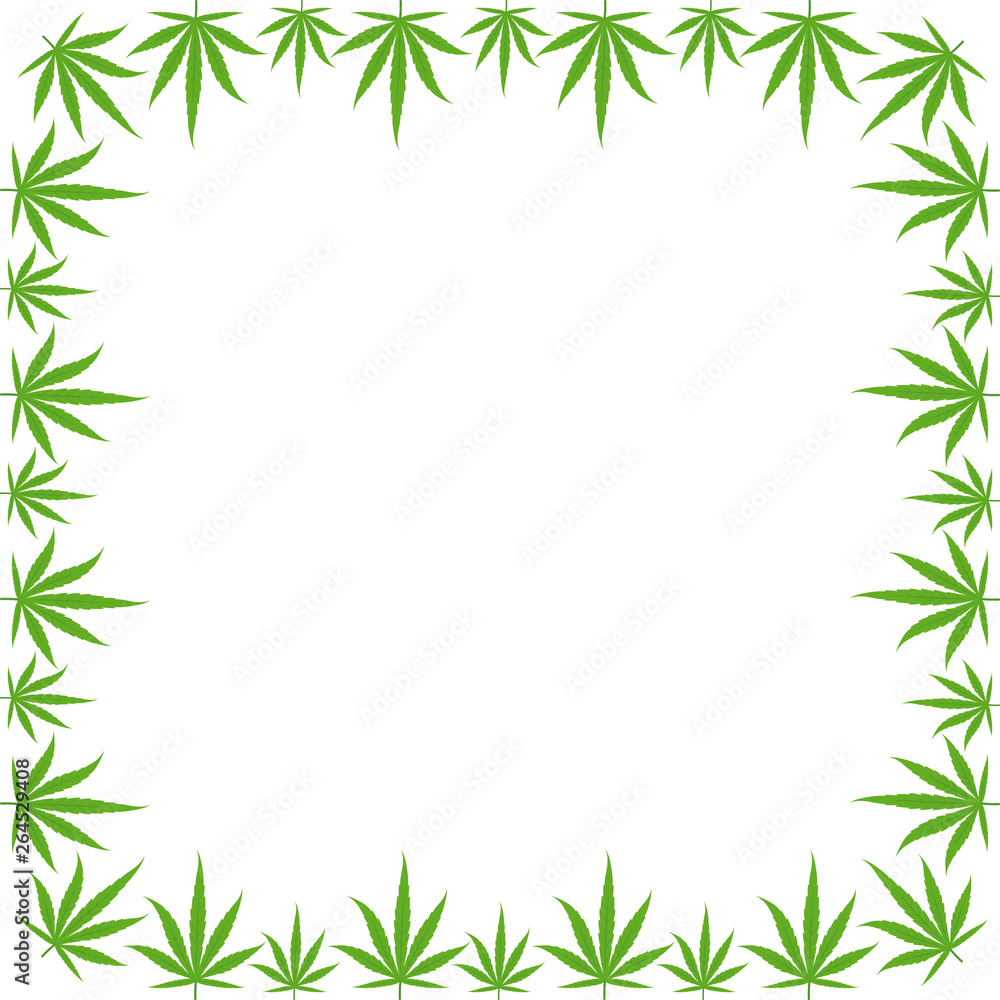 Marijuana green grass frame banner. Cannabis hemp plant. Border frame isolated transparent background. Copy space for text place. Marijuana green grass frame banner. Cannabis hemp plant. Border frame isolated transparent background. Copy space for text place.