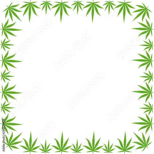 Marijuana green grass frame banner. Cannabis hemp plant. Border frame isolated transparent background. Copy space for text place. © ilyakalinin