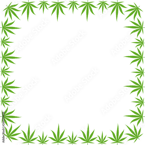Marijuana green grass frame banner. Cannabis hemp plant. Border frame isolated transparent background. Copy space for text place.