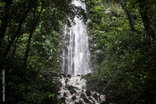 Fototapeta Naklejka Na Ścianę i Meble -  Cascata nella foresta in un parco del Costa Rica