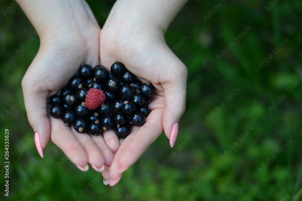 handful of blueberries