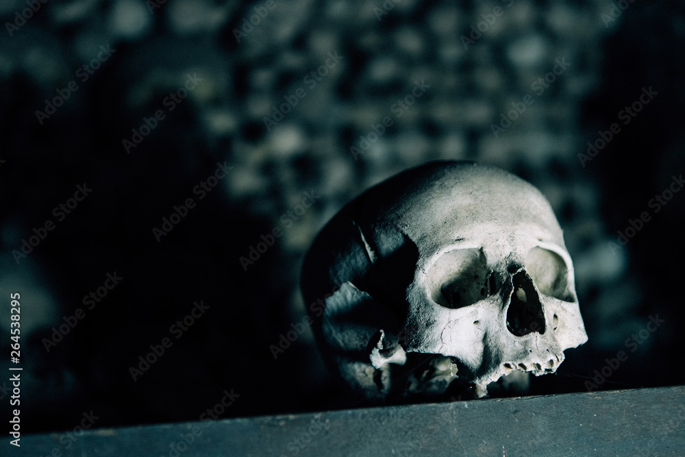 The Human skull and bones are in the dark catacomb night shoot The Human skull and bones are in the dark catacomb night shoot