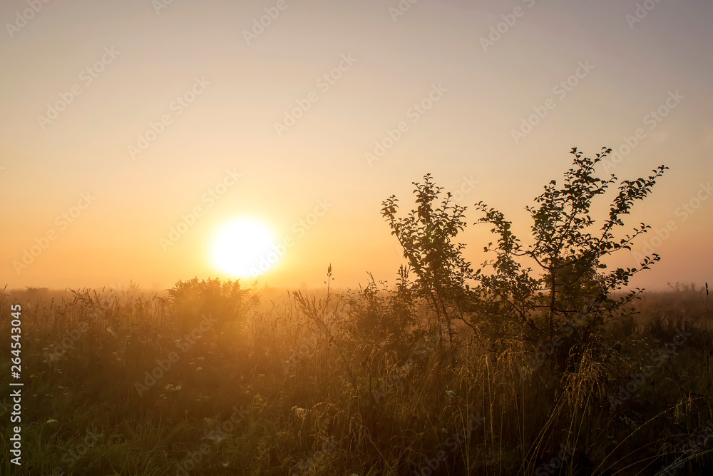 Fototapeta premium Rural early morning sunrise, fog and russians landscape. Summer background