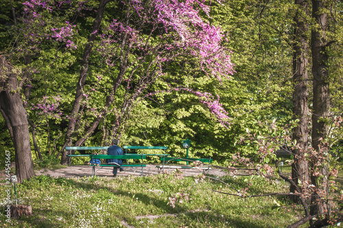 Man sitting on a bench in a park
