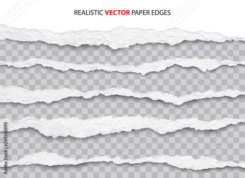 realistic torn paper edges vector