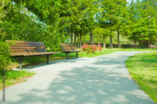 Fototapeta Naklejka Na Ścianę i Meble -  Park bench