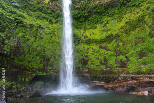 Salto El Claro waterfall  Pucon  Chile