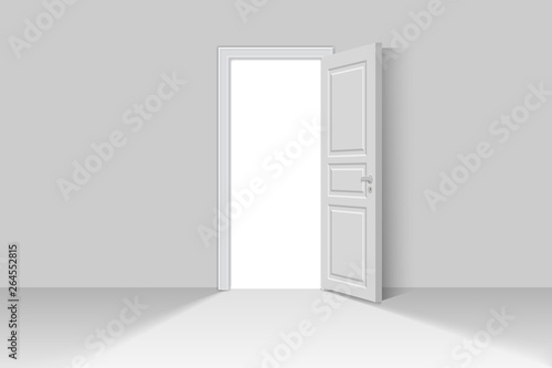Open realistic door