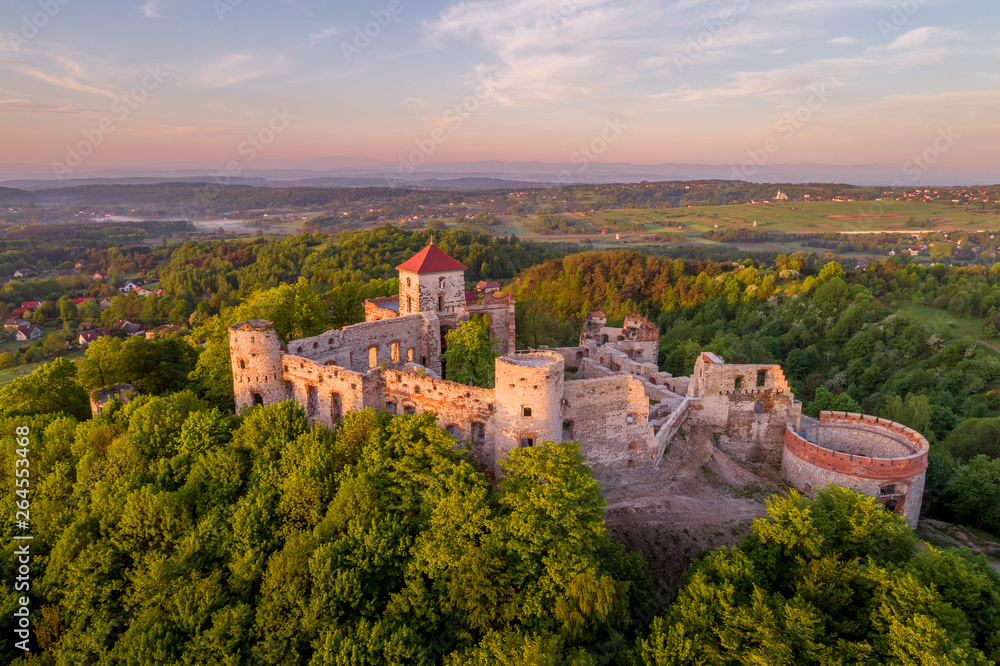 Tenczyn castle at the sunrise aerial view