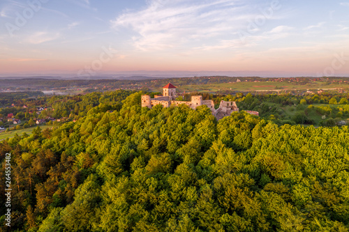 Tenczyn castle at the sunrise aerial view