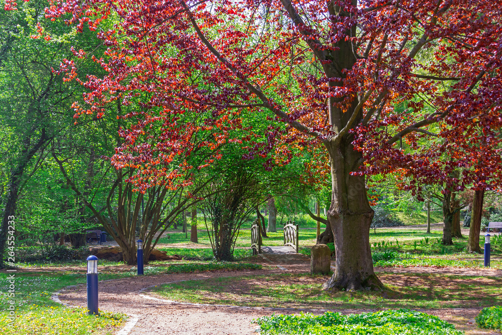 Naklejka premium Park