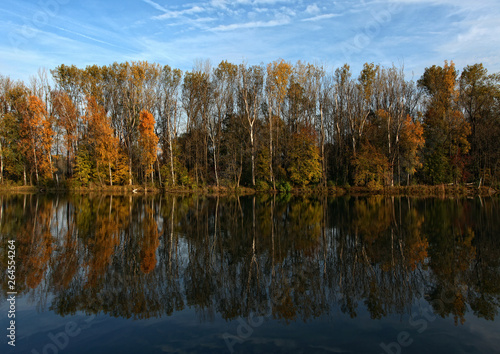 Herbstliche Spiegelung am Lech bei Meitingen