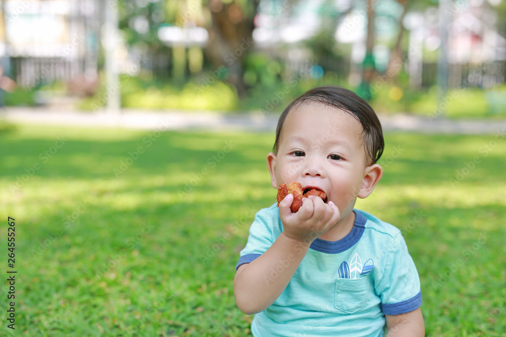 Happy Asian baby boy enjoy eating fried chicken in the green garden outdoor. Happy Asian baby boy enjoy eating fried chicken in the green garden outdoor.