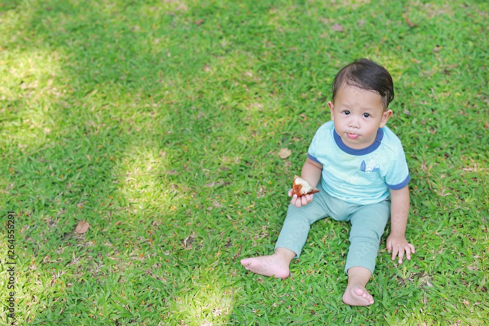 Asian baby boy enjoy eating fried chicken in the green garden outdoor. Asian baby boy enjoy eating fried chicken in the green garden outdoor.