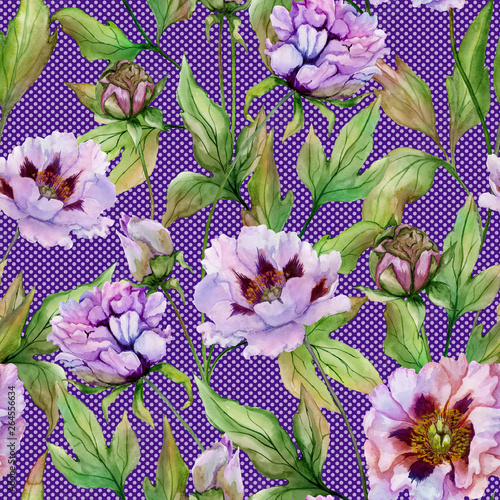 Beautiful Chinese peony with green leaves on bright polka dot background. Sea...