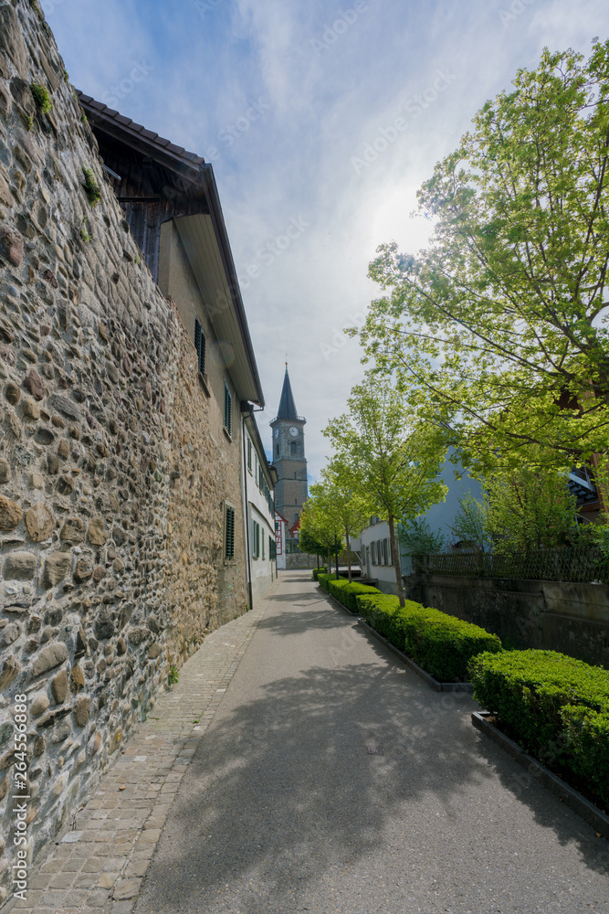 view of the old city wall and church in the Swiss village of Steckborn