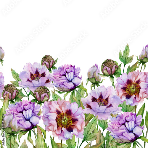 Beautiful peony flowers with green leaves on white background. Seamless flora...