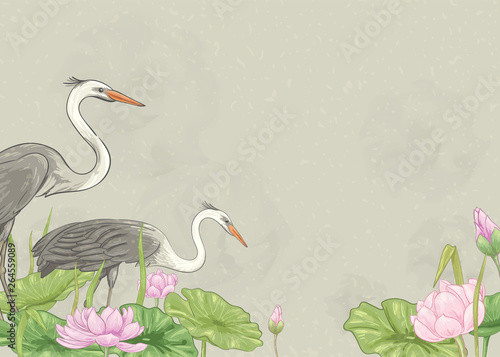 Illustration / background with cranes and lotuses