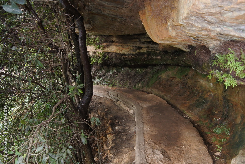 Wanderweg zu den Wentworth Falls in den Blue Mountains in Australien Wanderweg zu den Wentworth Falls in den Blue Mountains in Australien