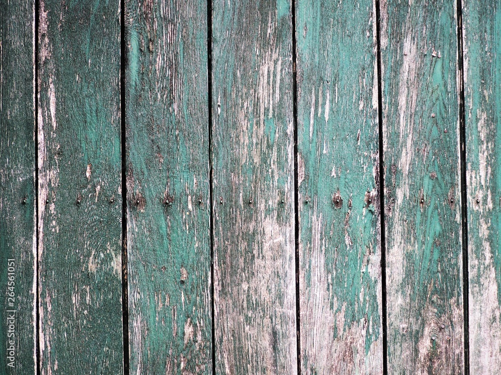 Fototapeta premium faded wooden door