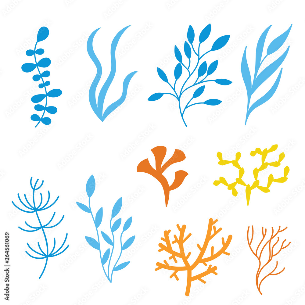 algae and corals set of silhouettes